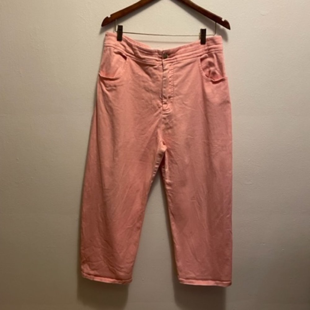 RARE Roucha Pala Denim 4 pocket curved seam pant in pink size C